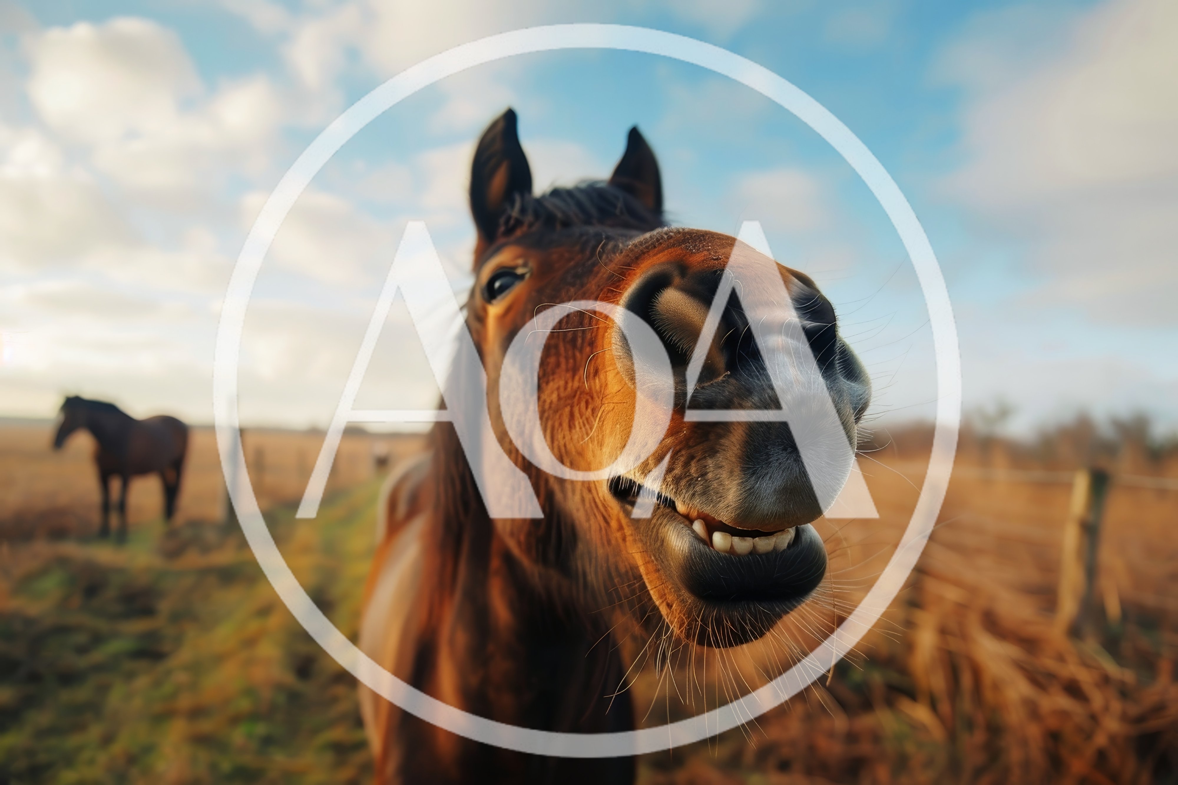 Close Up Portrait Of A Curious Brown Horse
