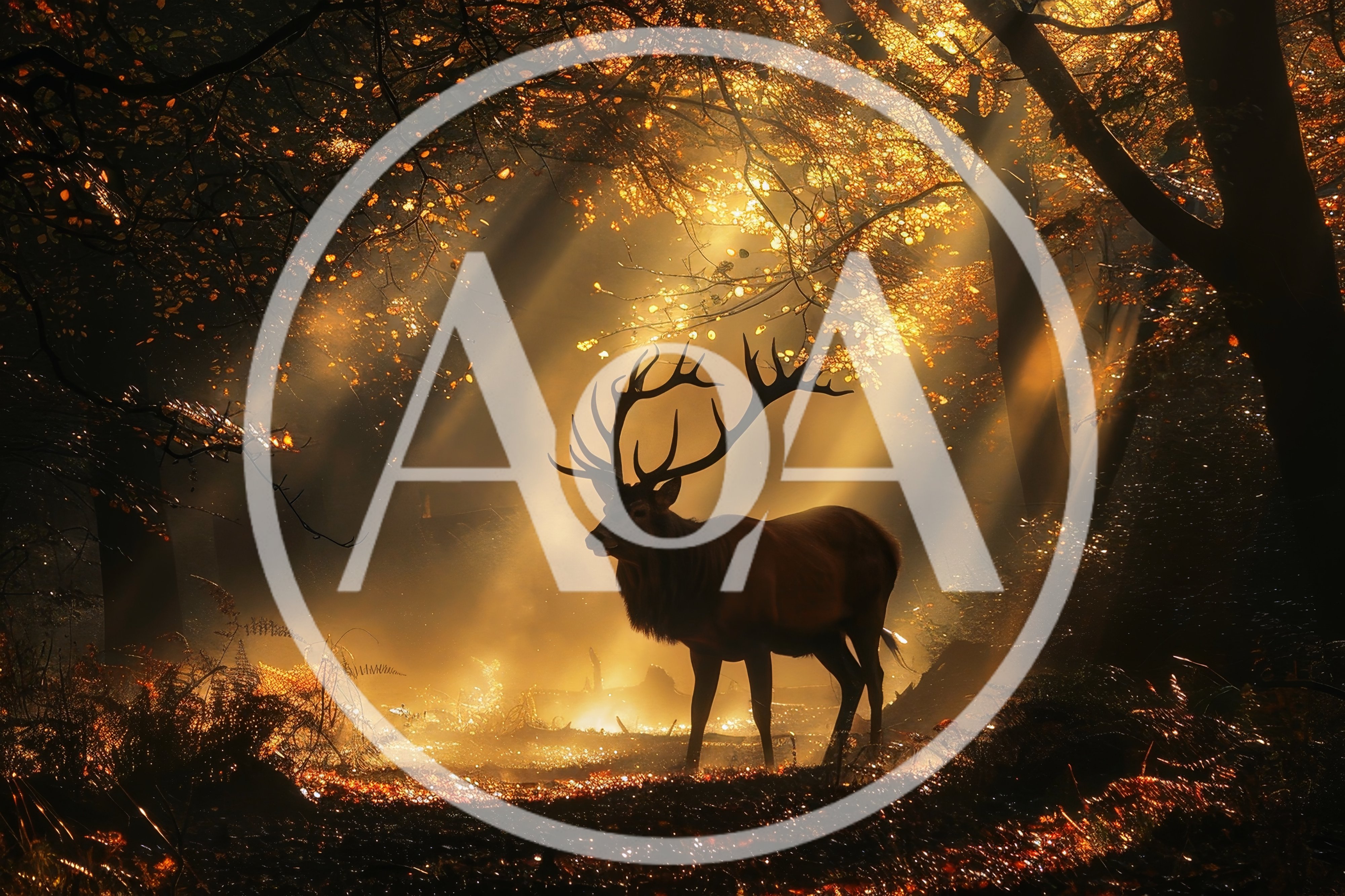 Majestic Red Deer Stag Standing In Golden Forest