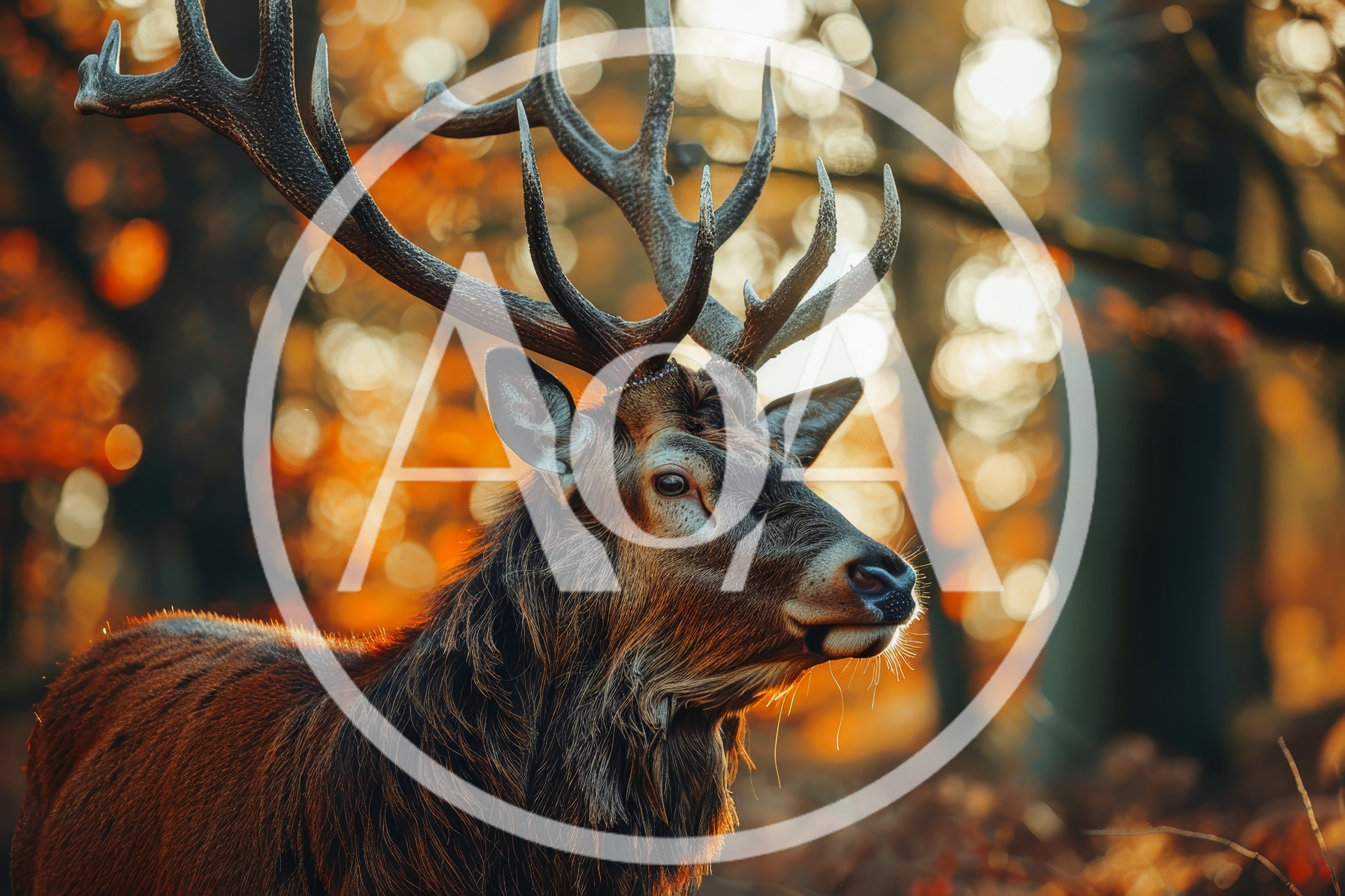 Majestic Red Deer Stag In Autumn Forest