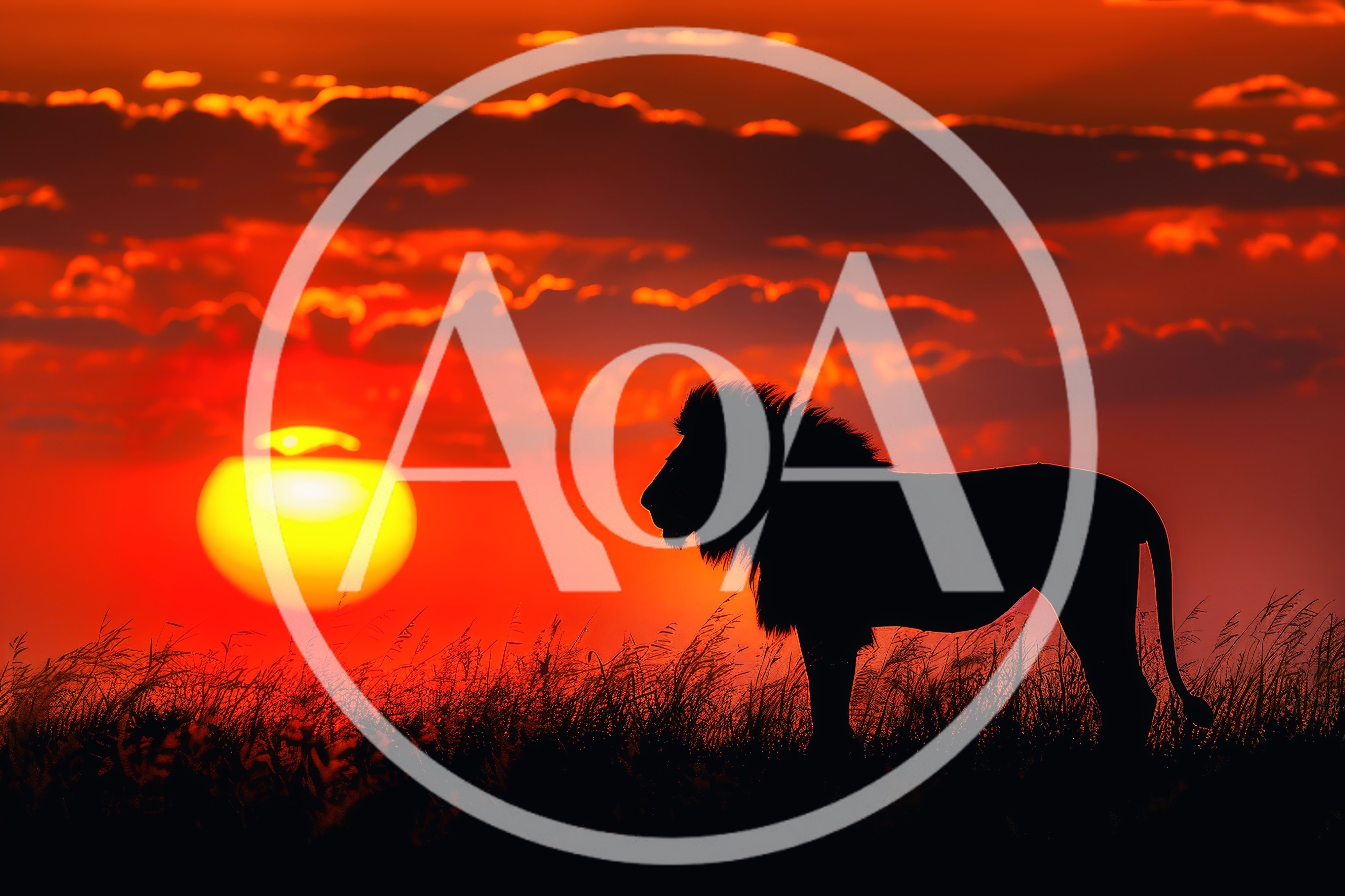 Majestic Lion Silhouette Against A Vibrant Sunset