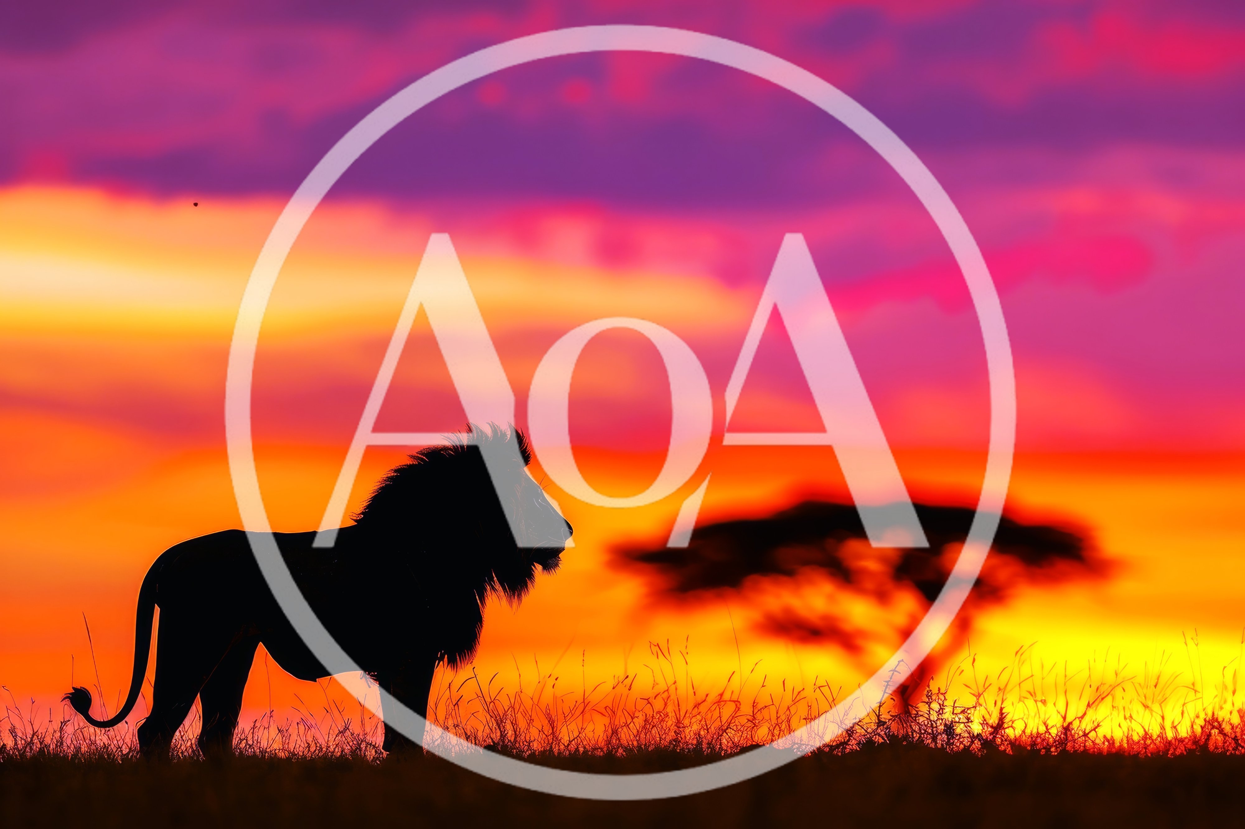 Silhouette Of A Majestic Lion At Sunset