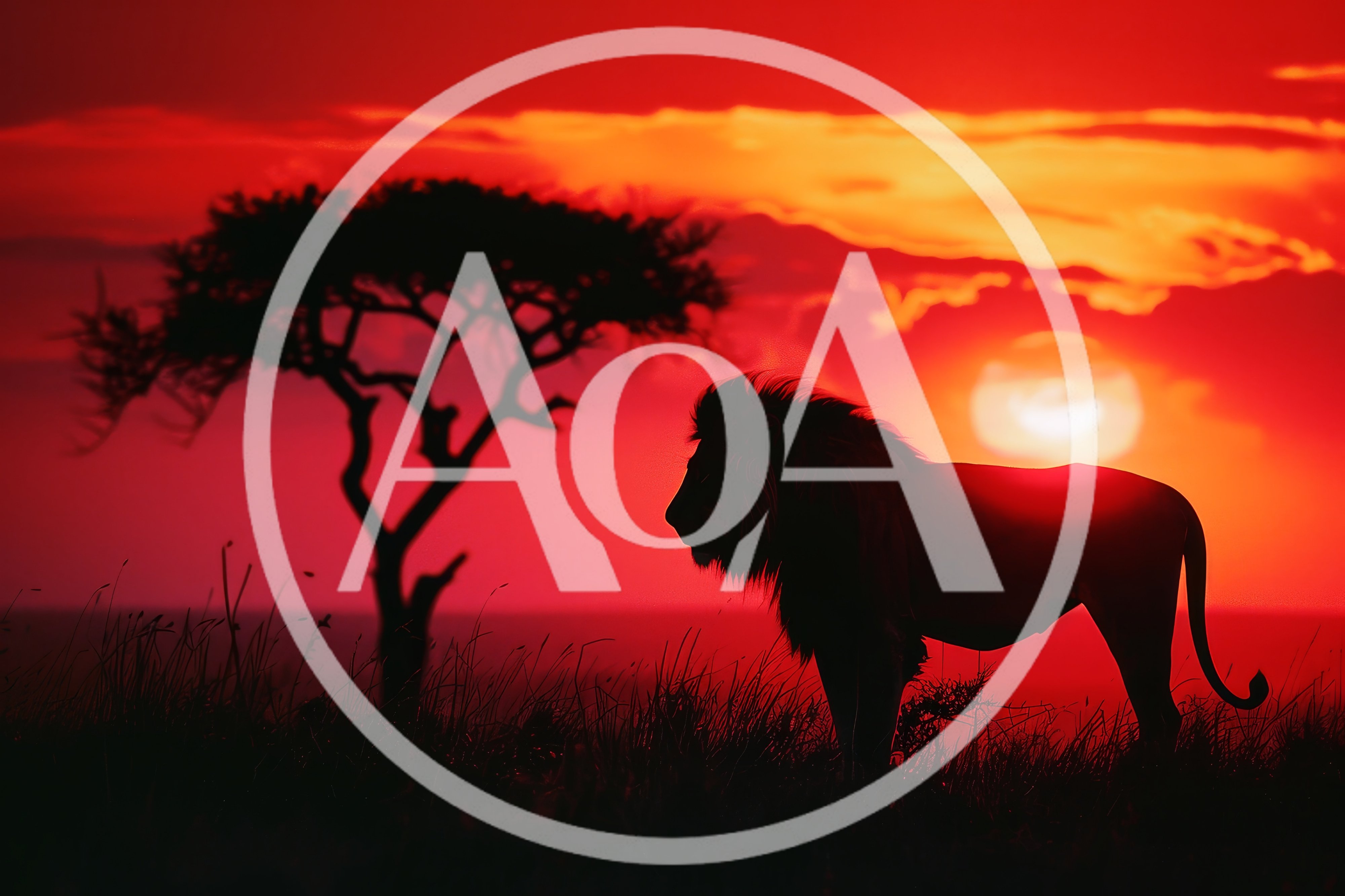 Majestic Lion Silhouette Standing Against A Vibrant African Sunset