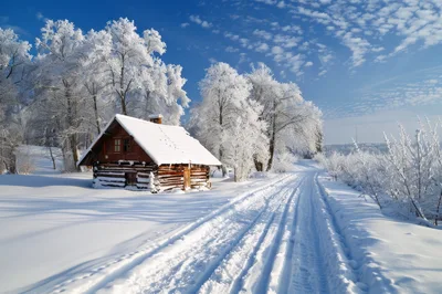 Rustic Wooden Cabin In A Snowy Winter Forest