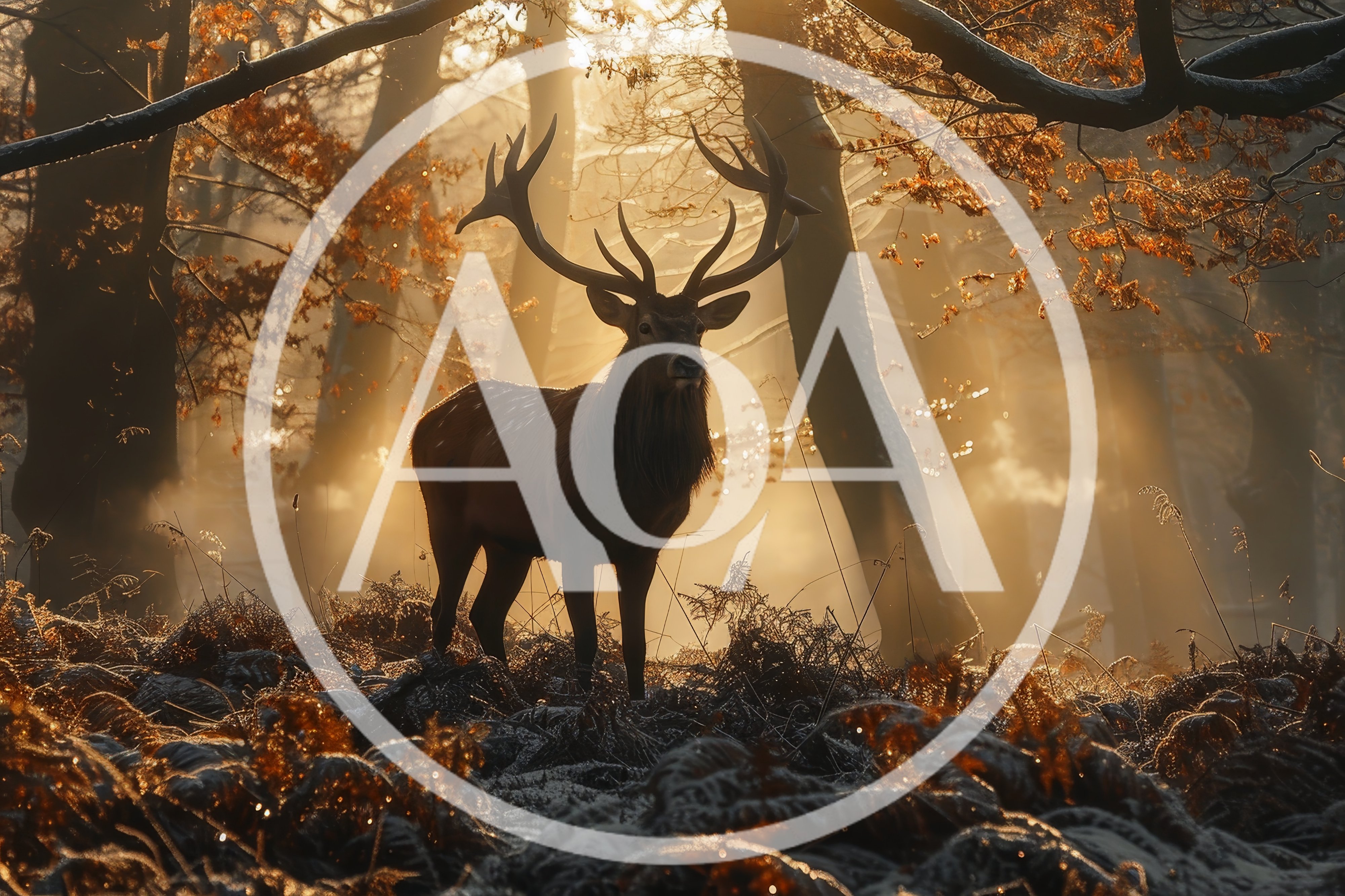 Majestic Red Deer Stag Standing In Misty Autumn Forest