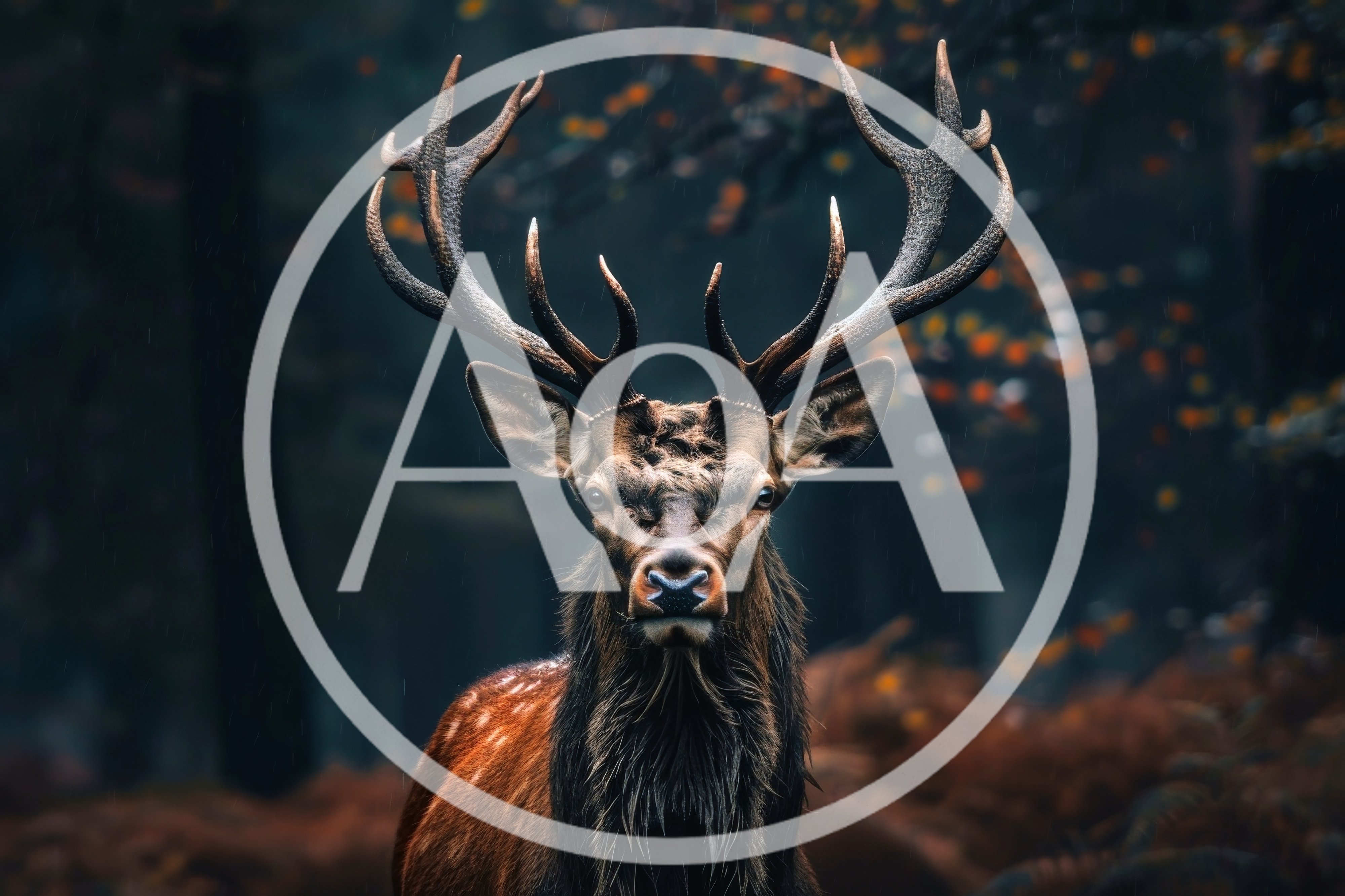 Majestic Red Deer Stag Standing In Misty Forest
