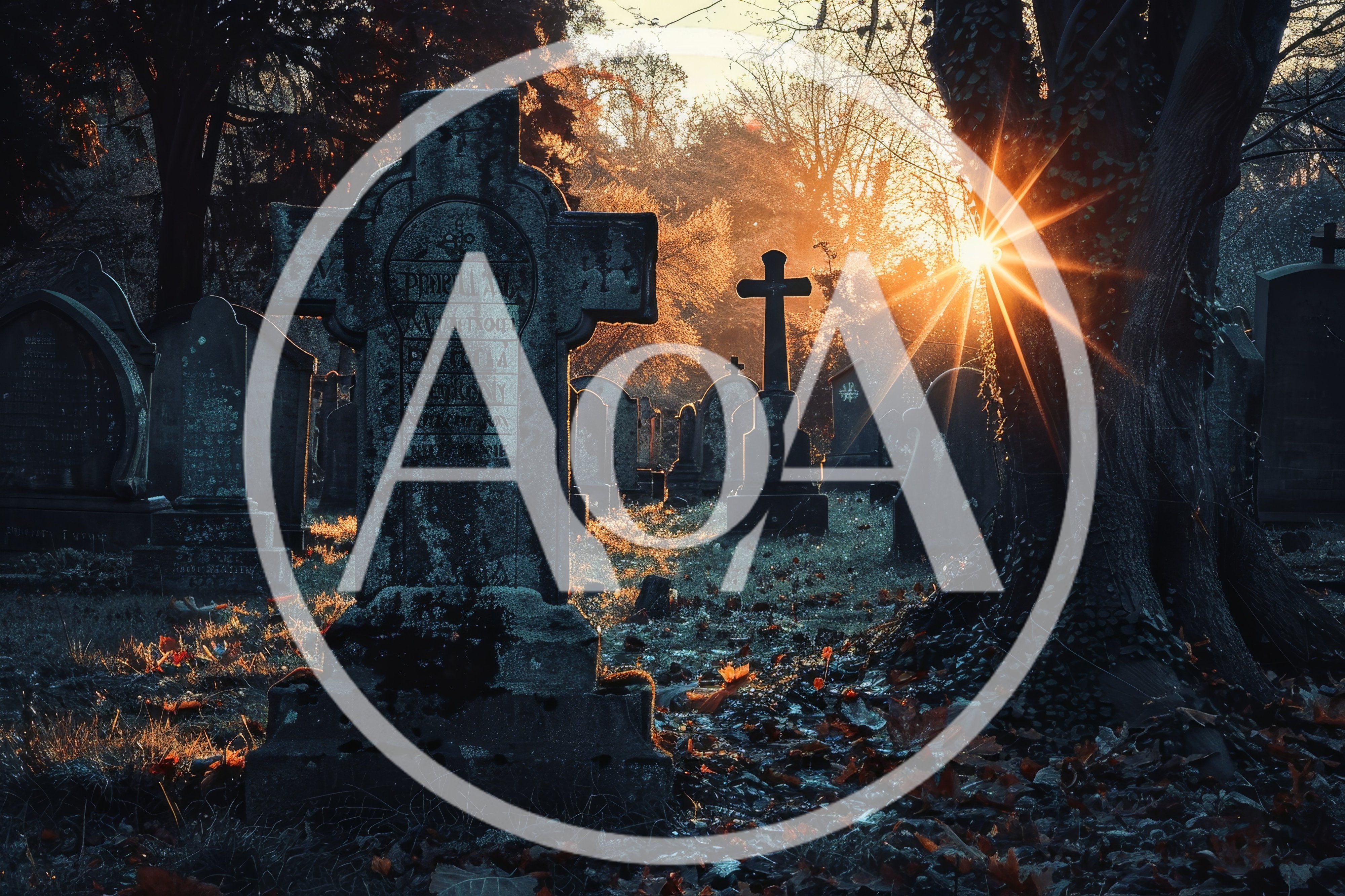 Sunlight Piercing Through Trees In An Ancient Cemetery