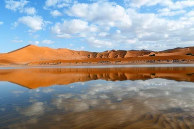 Reflective Water Pool Beneath Namib Desert Sand Dunes