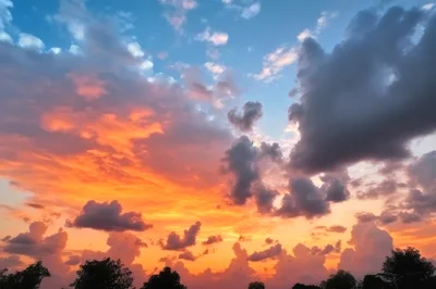 Vibrant Sunset Sky With Dramatic Clouds Over Silhouetted Trees