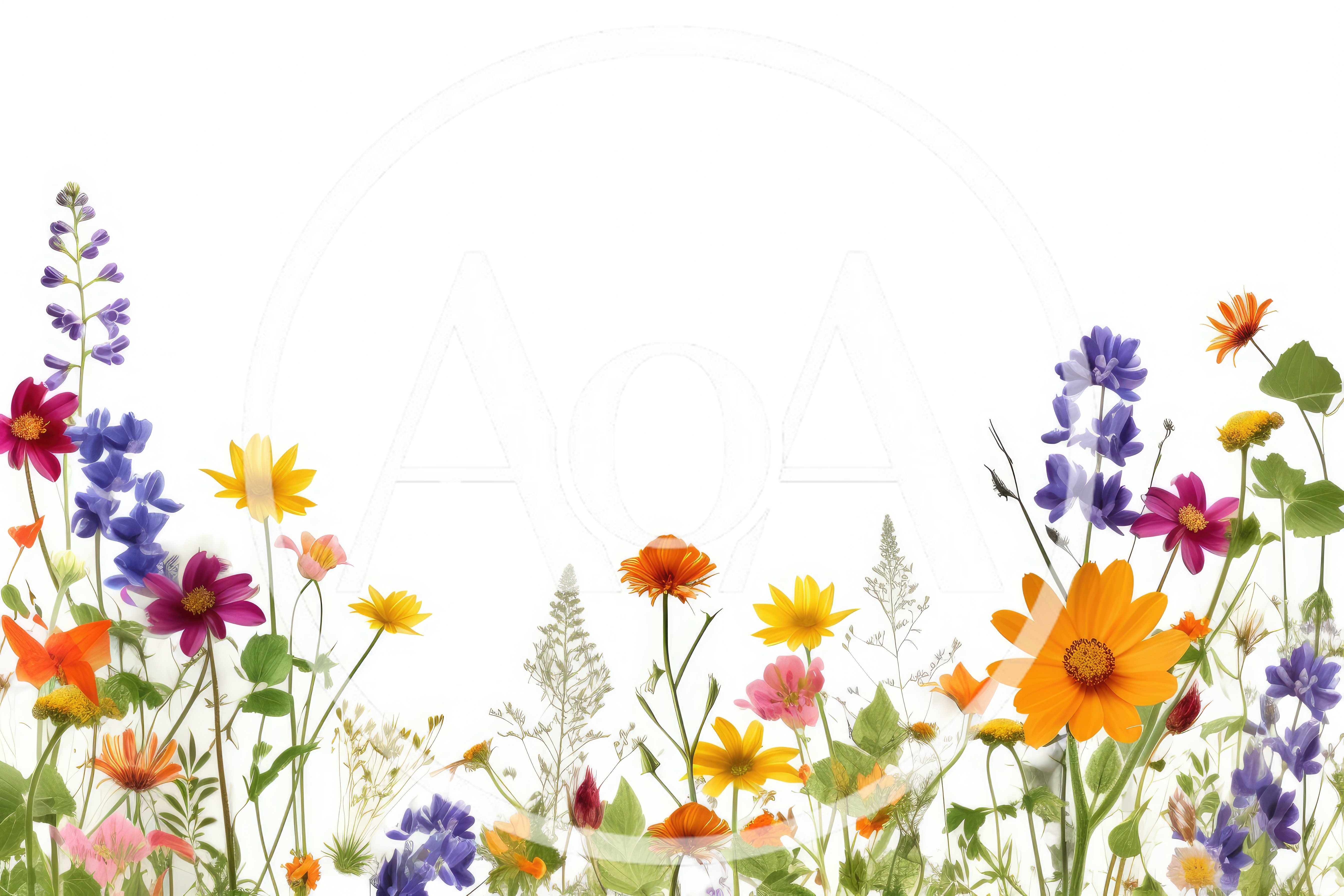 Wildflower Meadow Border Isolated On White Background
