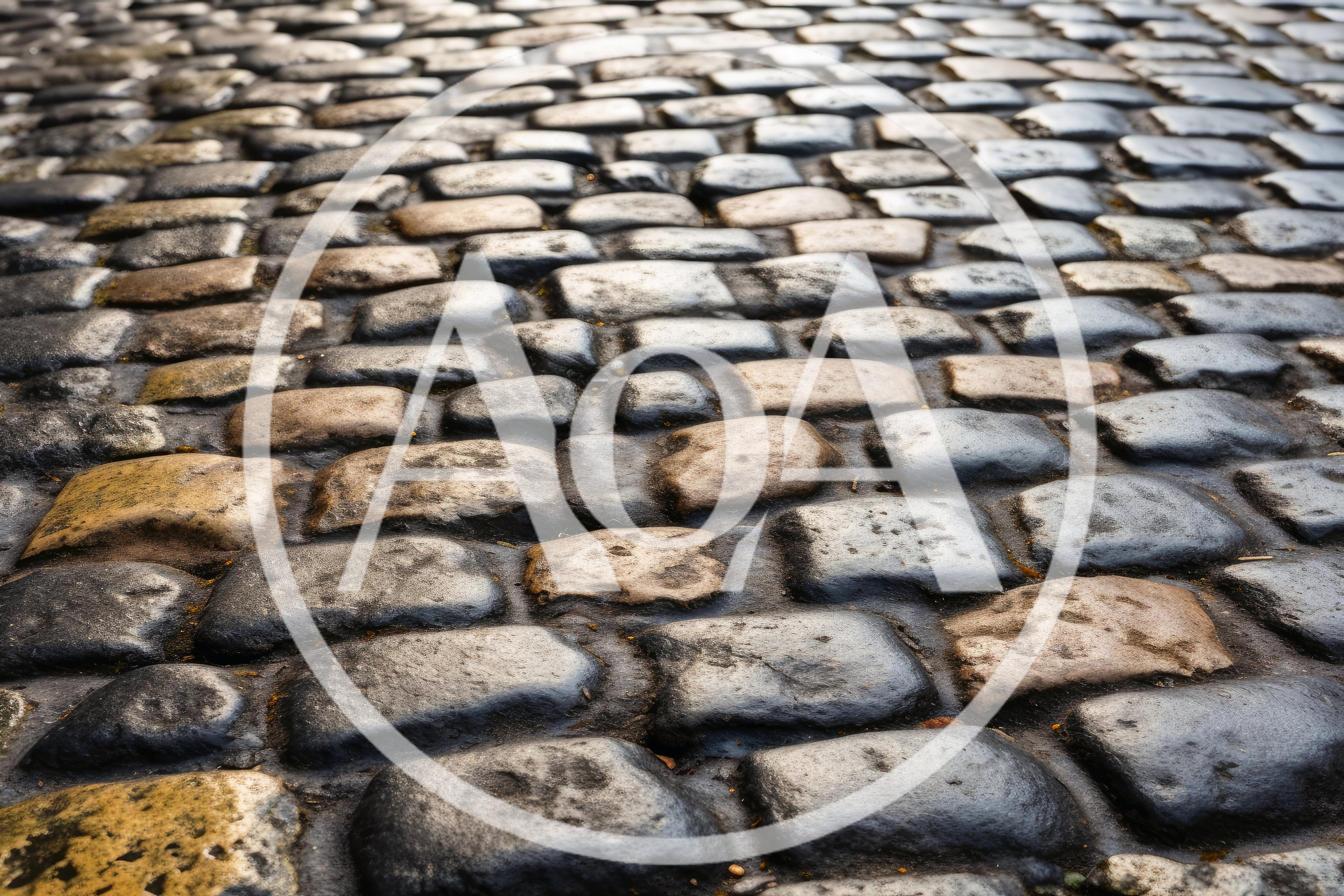 Close Up Of Wet Cobblestone Street Surface