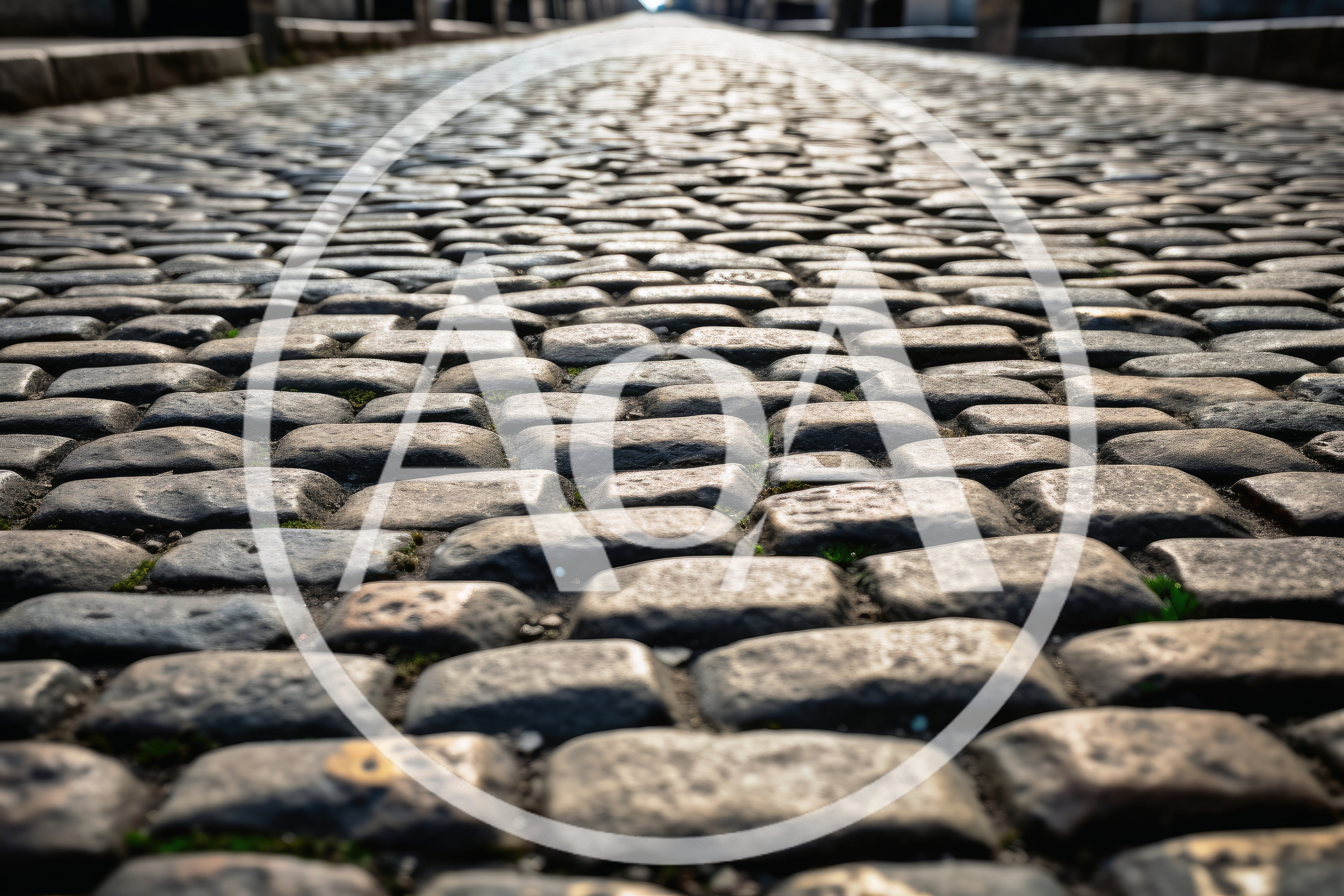 Low Angle View Of Historic Cobblestone Street