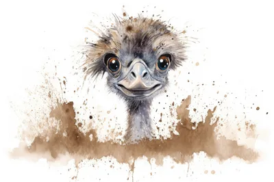 Watercolor Illustration Of A Cute Emu Head