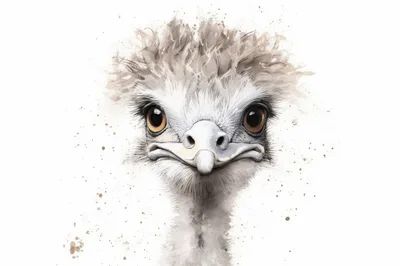 Watercolor Illustration Of An Ostrich Head