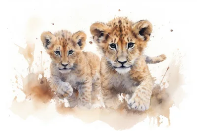Two Adorable Lion Cubs Walking Together