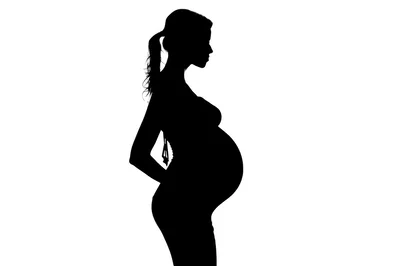 Silhouette Of A Pregnant Woman In Profile