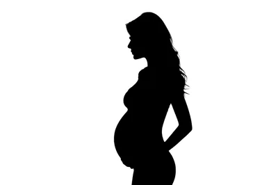 Silhouette Of A Pregnant Woman In Profile