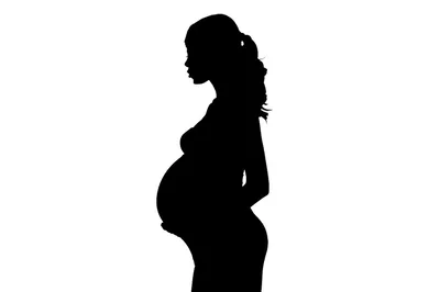 Silhouette Of A Pregnant Woman In Profile
