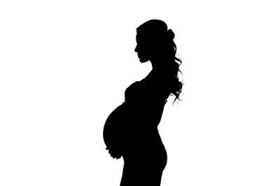 Silhouette Of A Pregnant Woman In Profile