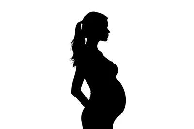 Silhouette Of A Pregnant Woman In Profile