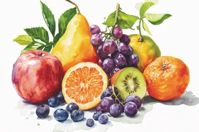 Watercolor Illustration Of Assorted Fresh Fruits