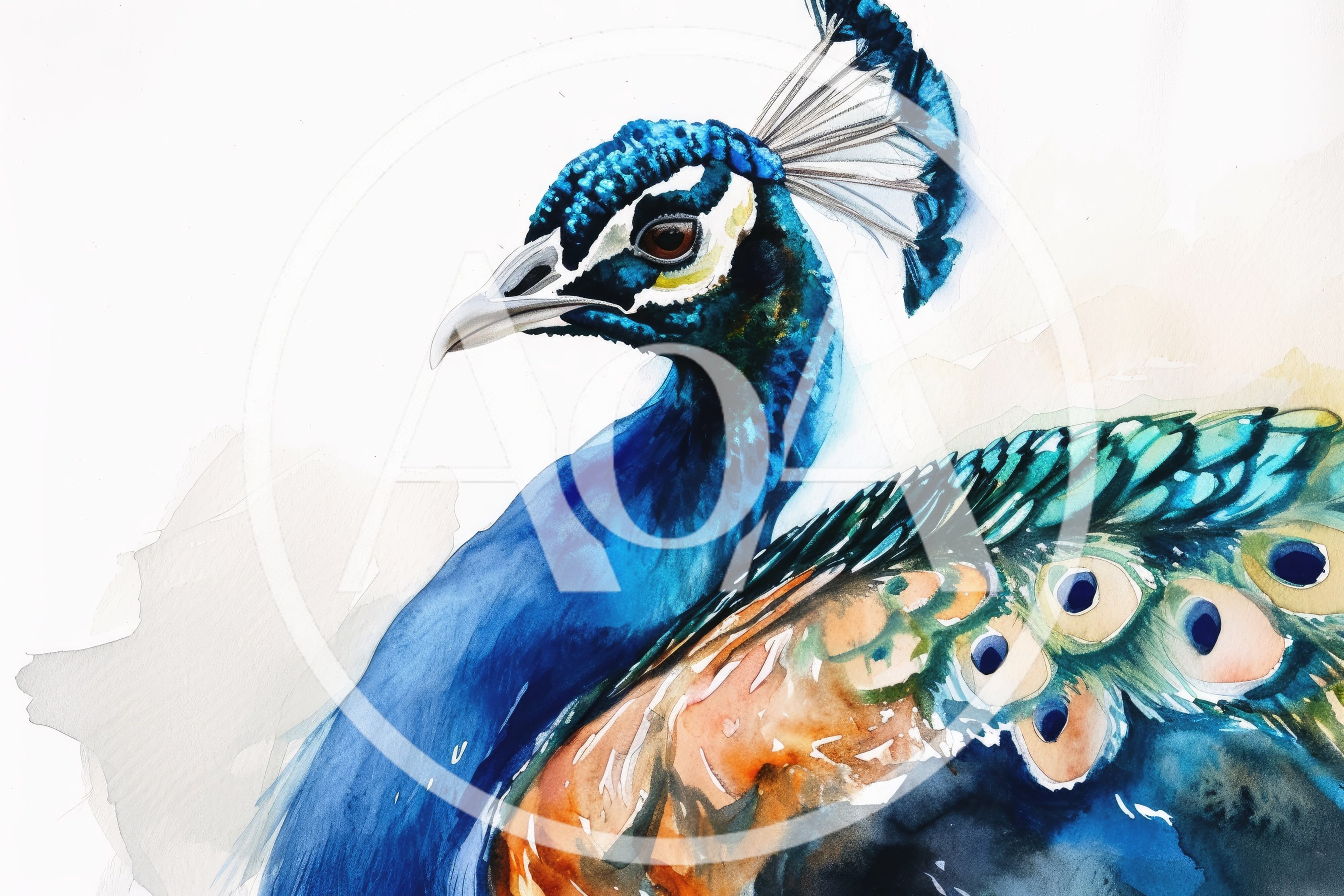 Watercolor Painting Of A Majestic Peacock Profile