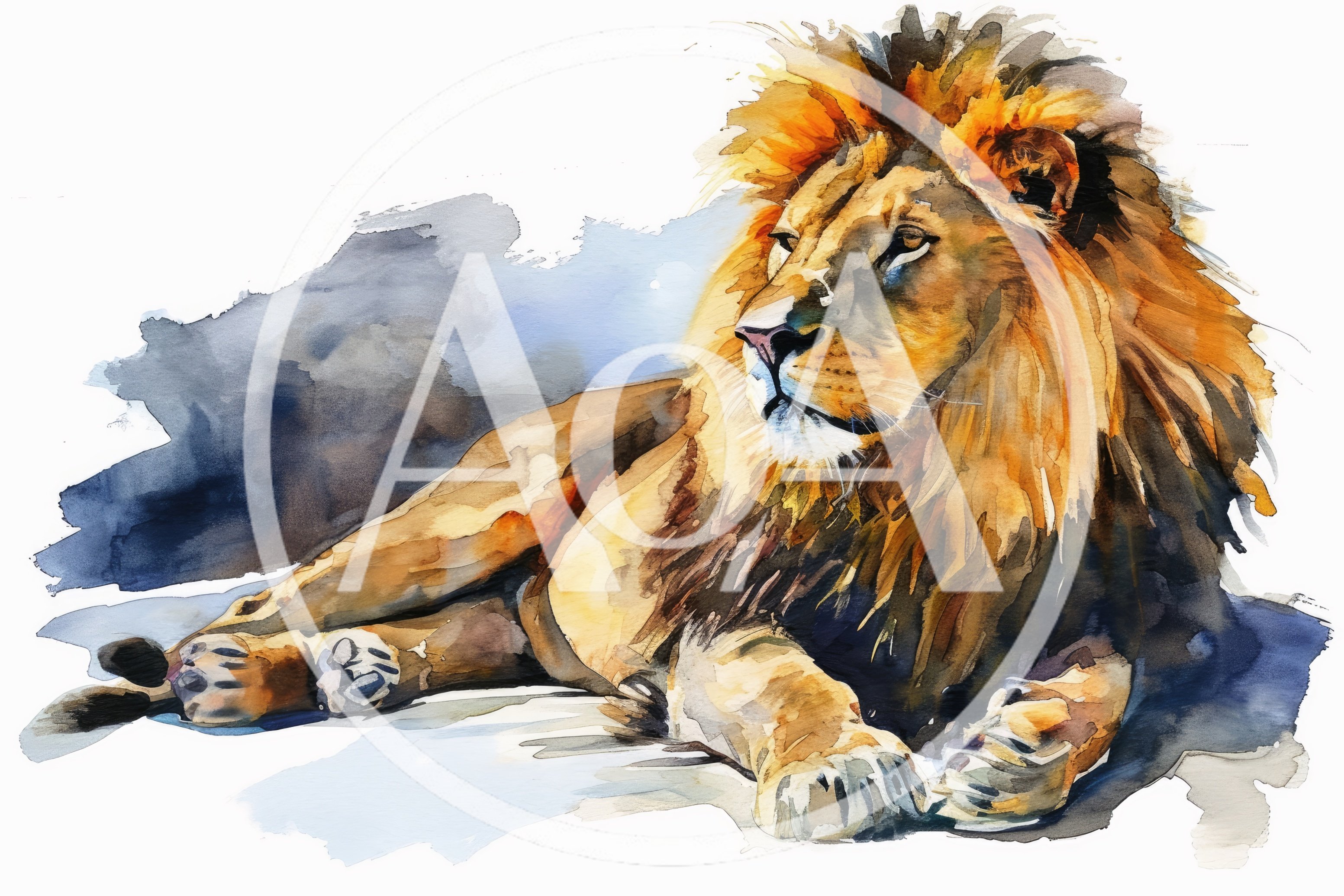 Watercolor Painting Of A Majestic Resting Lion