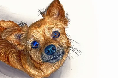Watercolor Illustration Of A Small Brown Dog