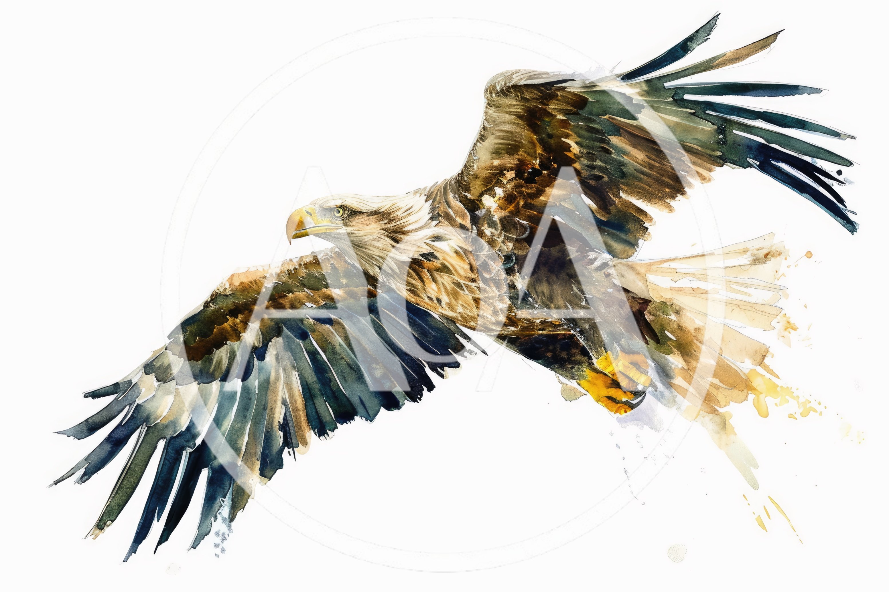 Watercolor Painting Of A Bald Eagle In Flight