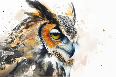 Watercolor Painting Of A Great Horned Owl