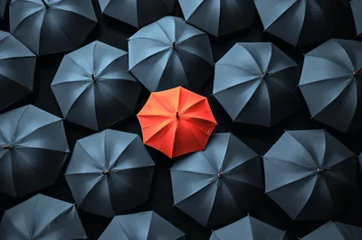Single Orange Umbrella Among Many Black Umbrellas