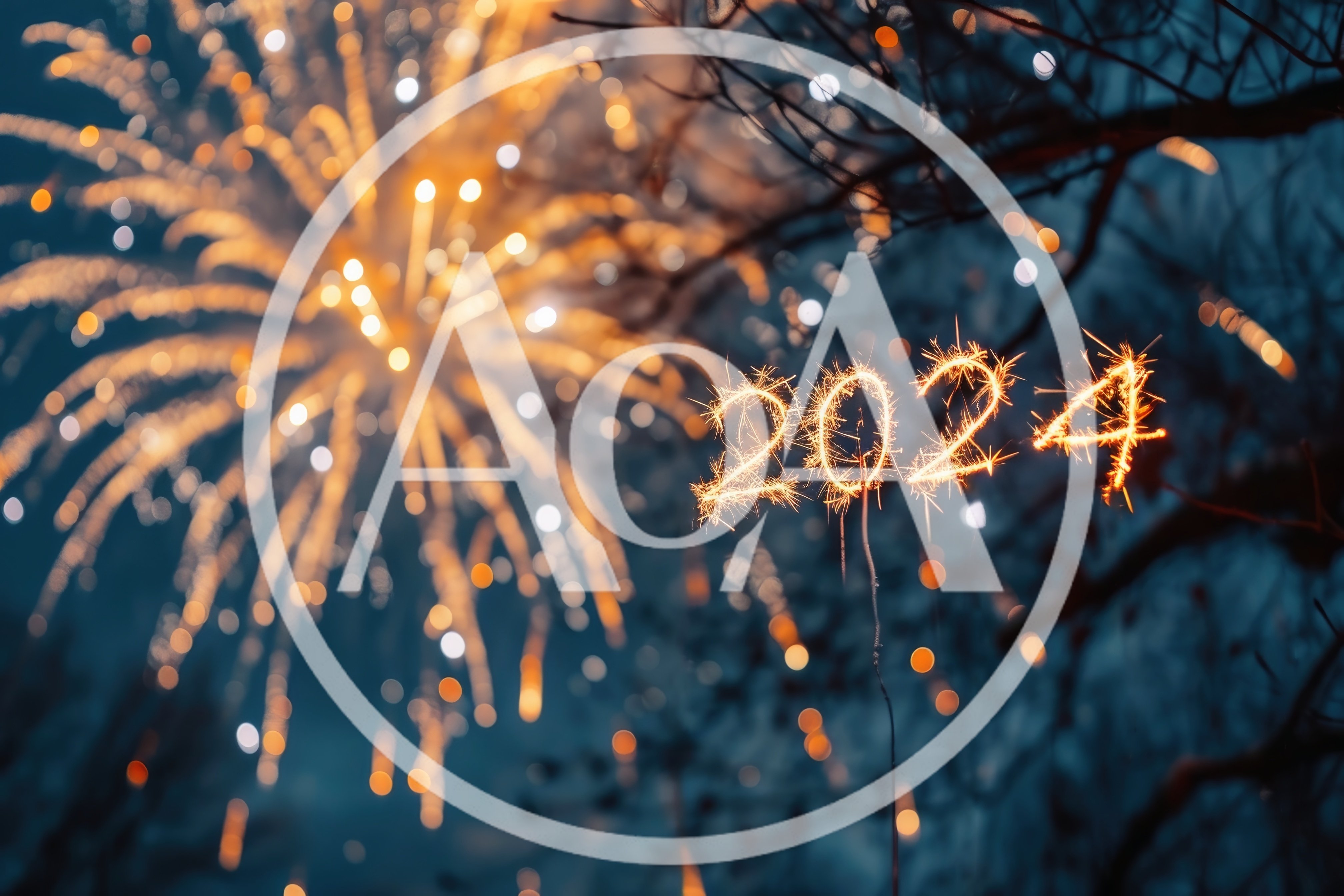 Sparkler Writing 2024 Against Fireworks Background