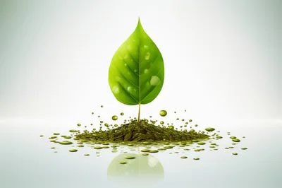 Single Green Leaf Growing From Liquid Soil Splash