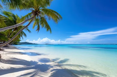 Tropical Beach With Palm Trees And Turquoise Water