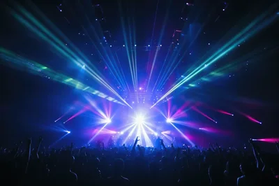 Crowd Dancing at an Electronic Music Concert