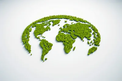 Green Forest World Map Concept