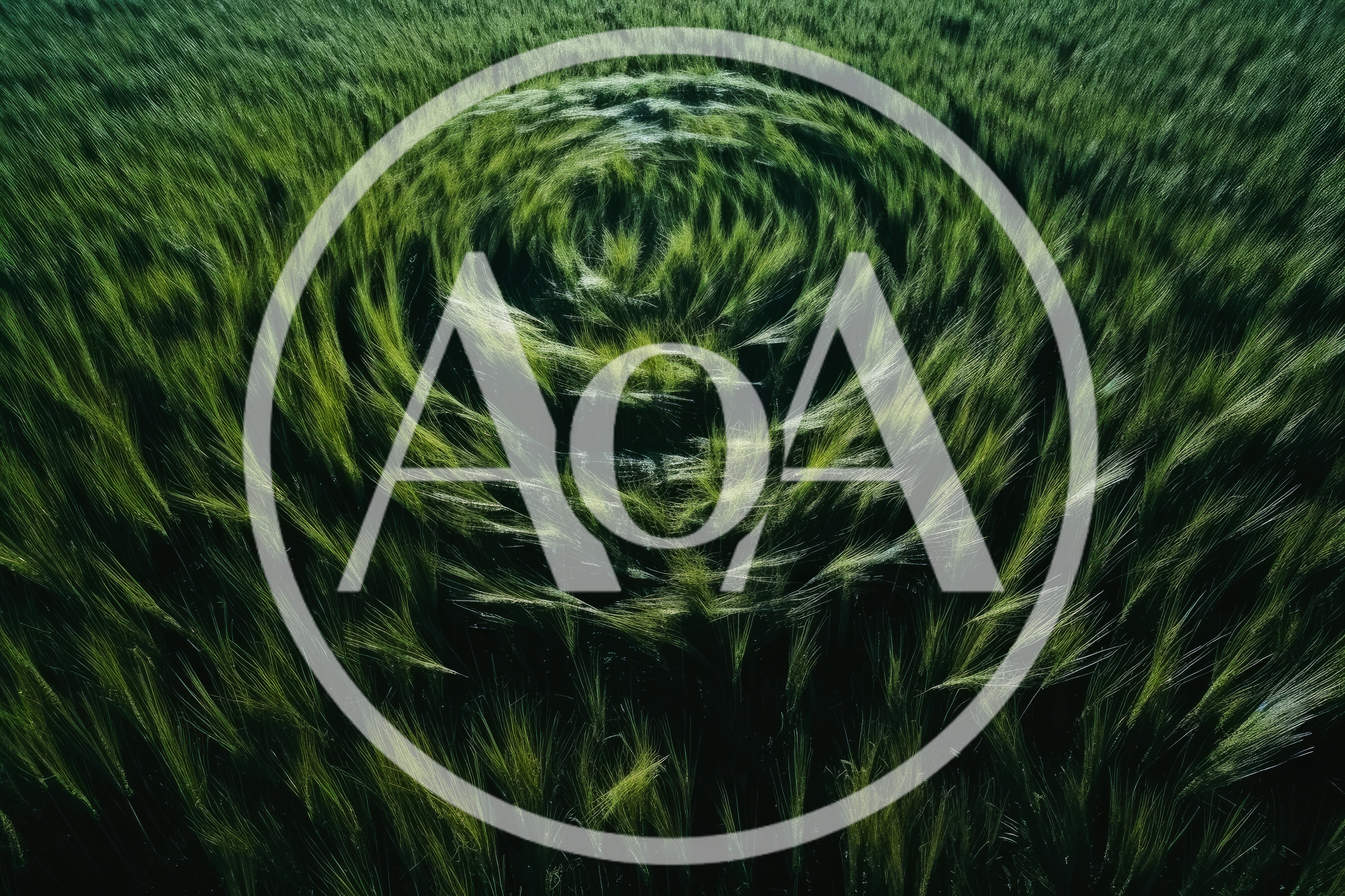 Aerial View Of A Circular Crop Circle In Wheat