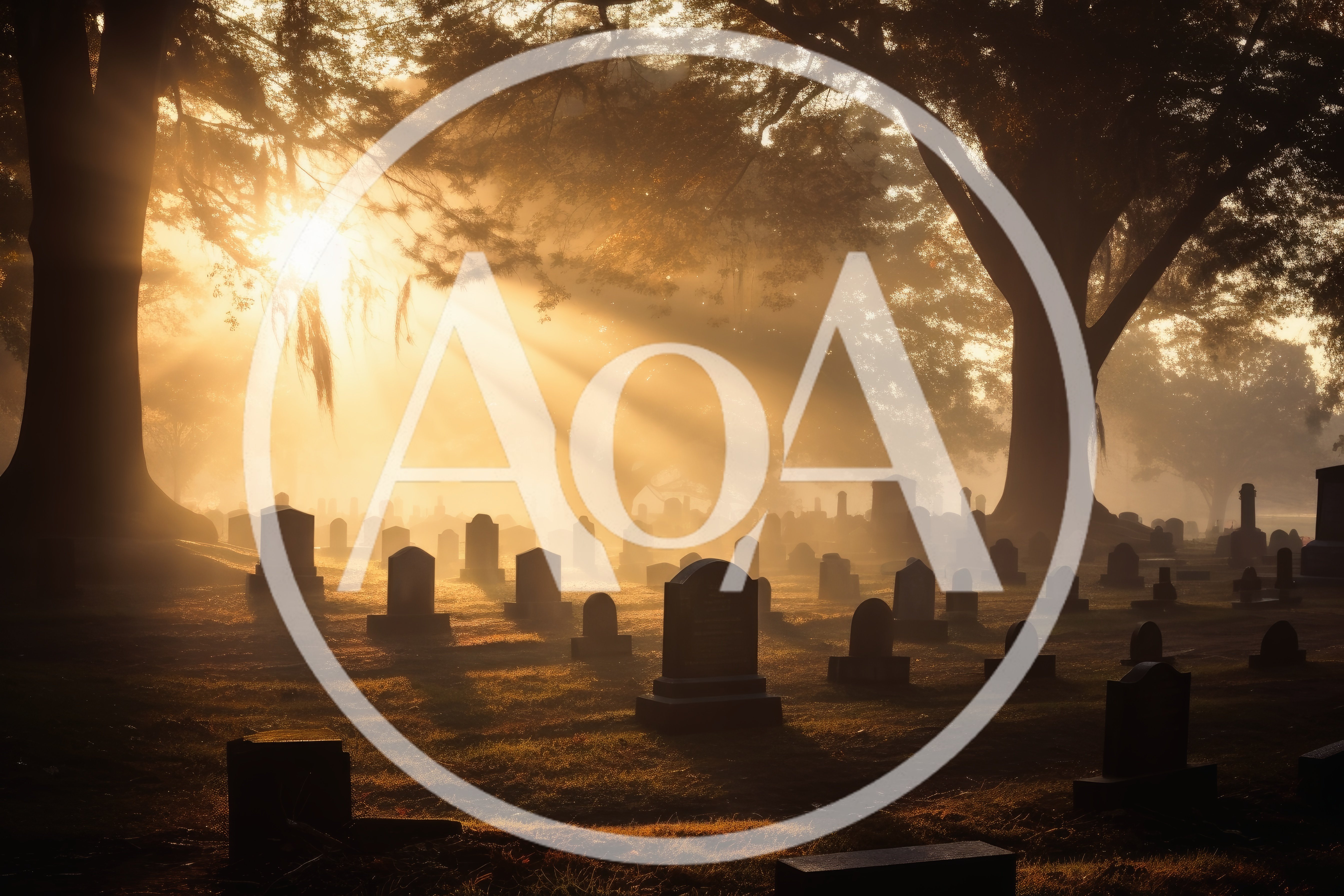 Sunlight Streaming Through Trees In A Misty Cemetery