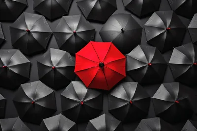 Single Red Umbrella Among Many Black Umbrellas