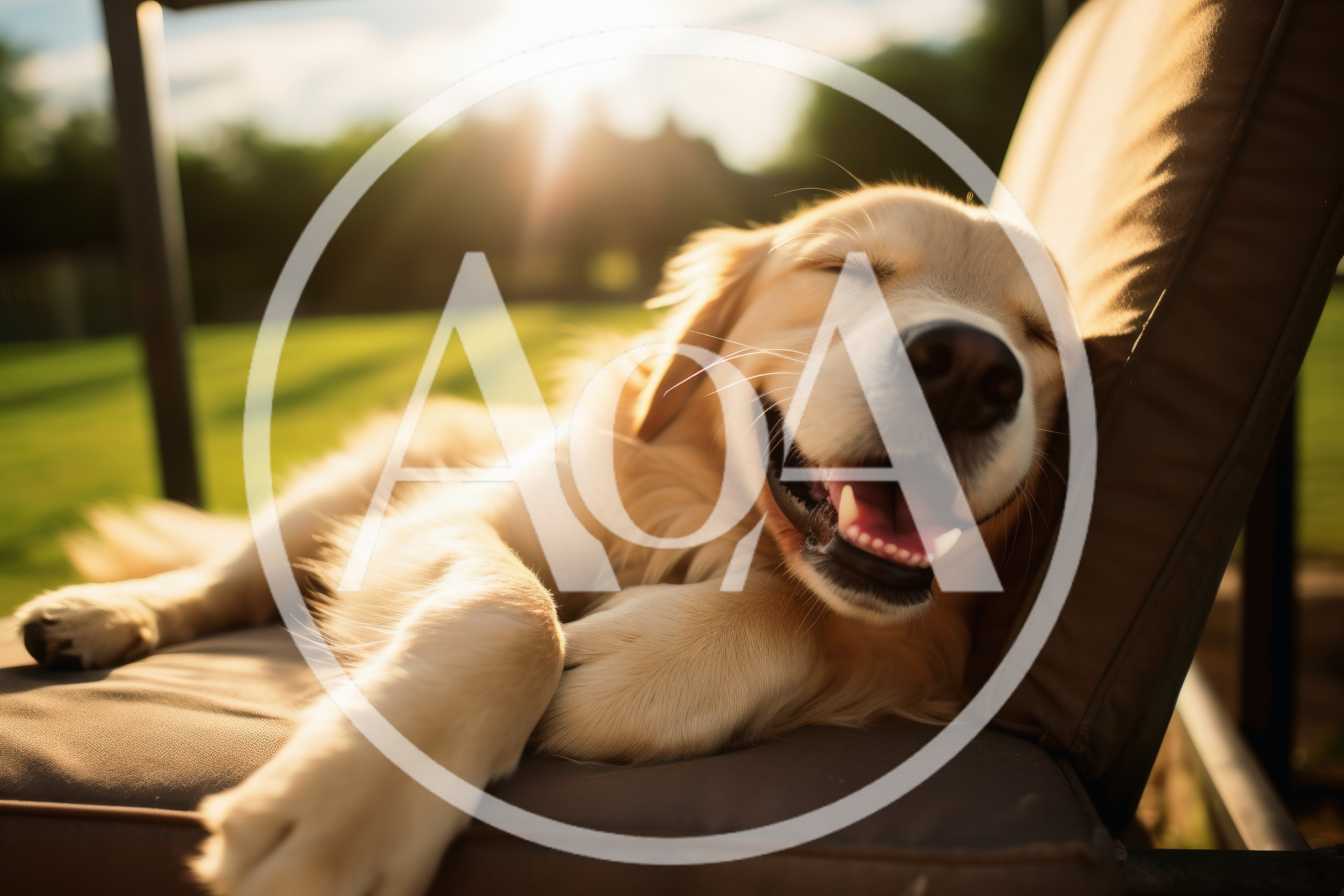 Happy Golden Retriever Sleeping On Outdoor Chair