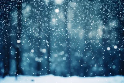 Heavy Snowfall Falling In A Dark Winter Forest