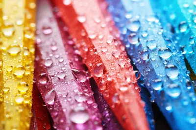 Macro View Of Colorful Crayons With Water Droplets