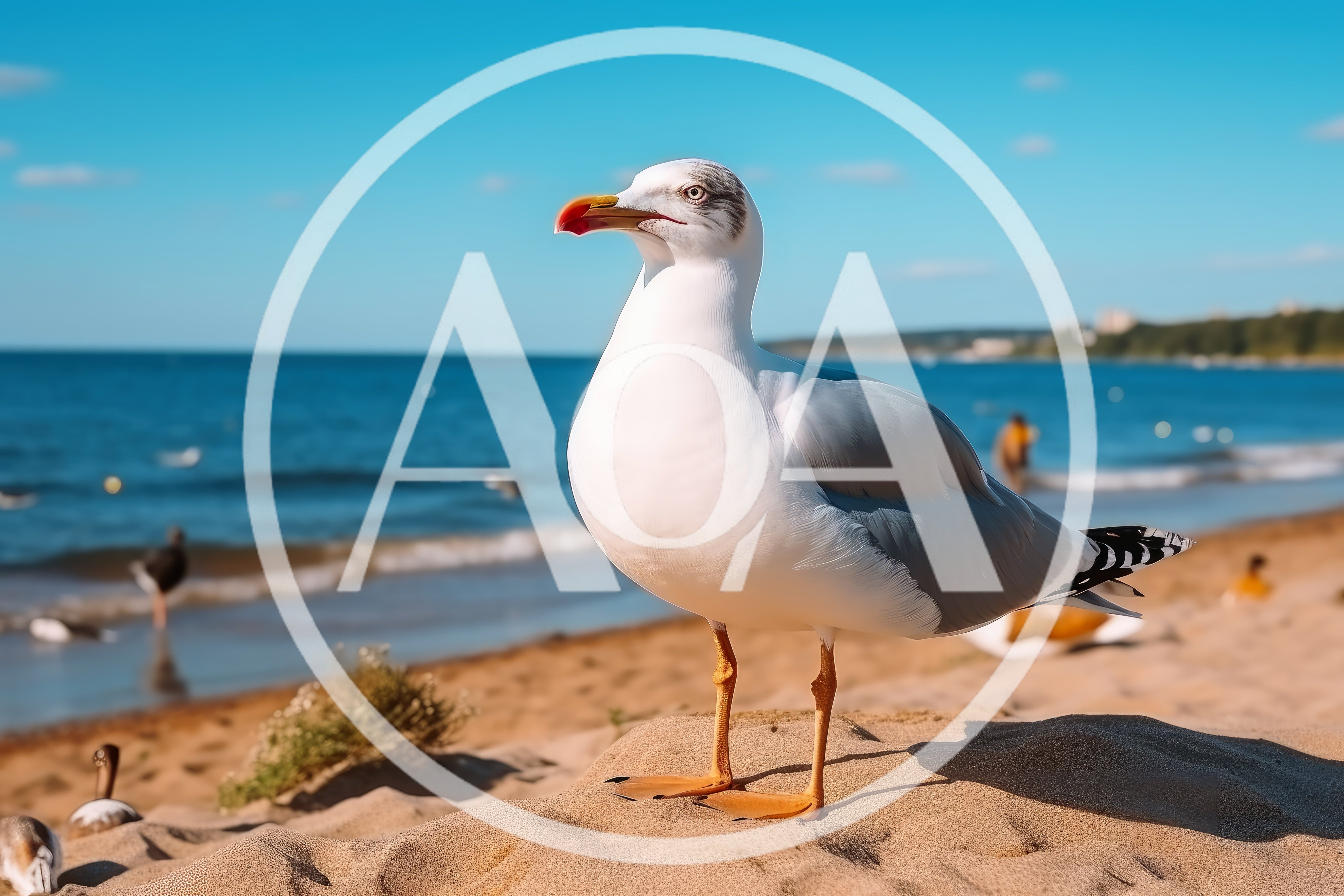 Seagull Standing On Sandy Beach Shoreline