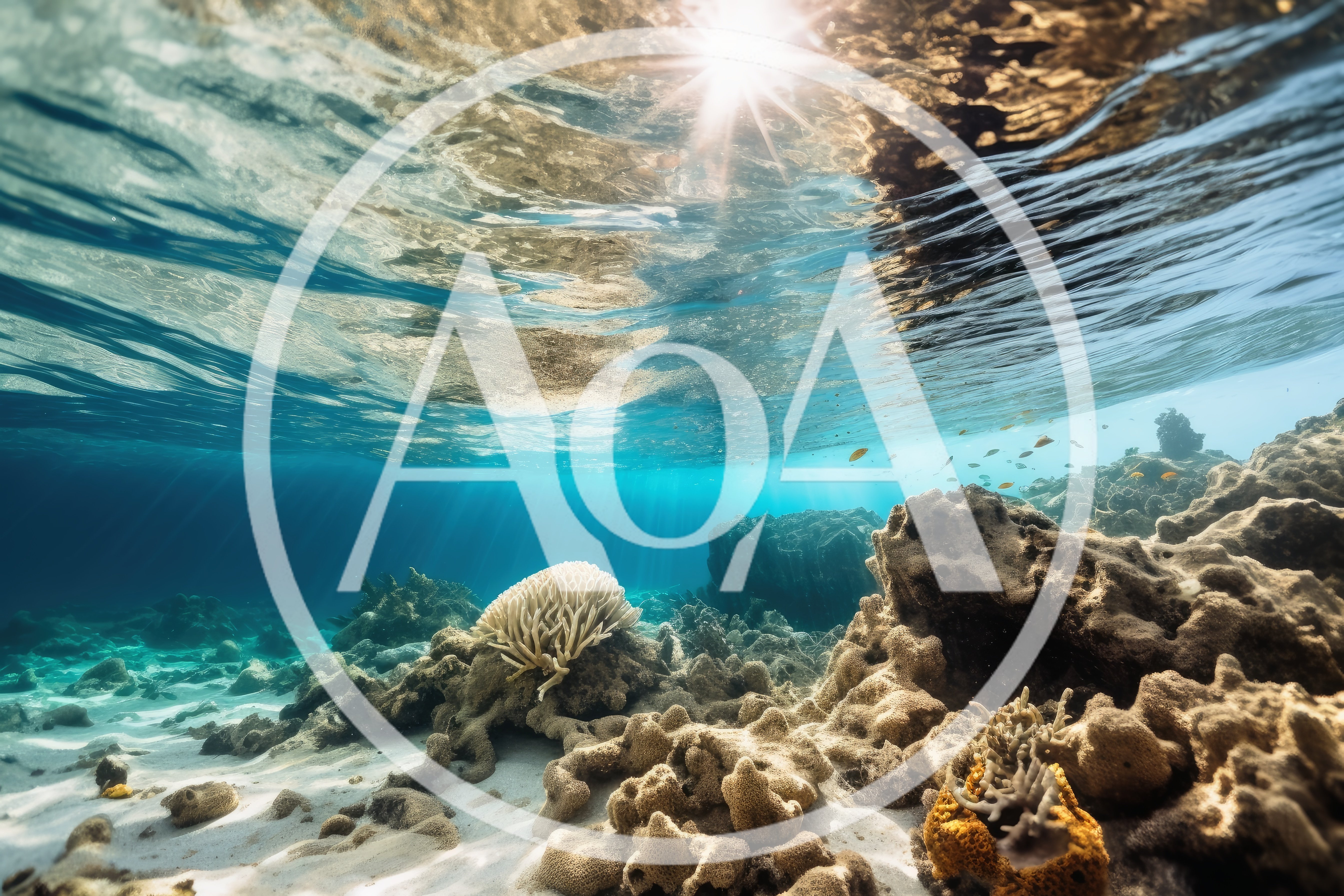 Underwater View Of Coral Reef And Sunlight