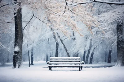 Empty Park Bench Covered In Fresh Winter Snow