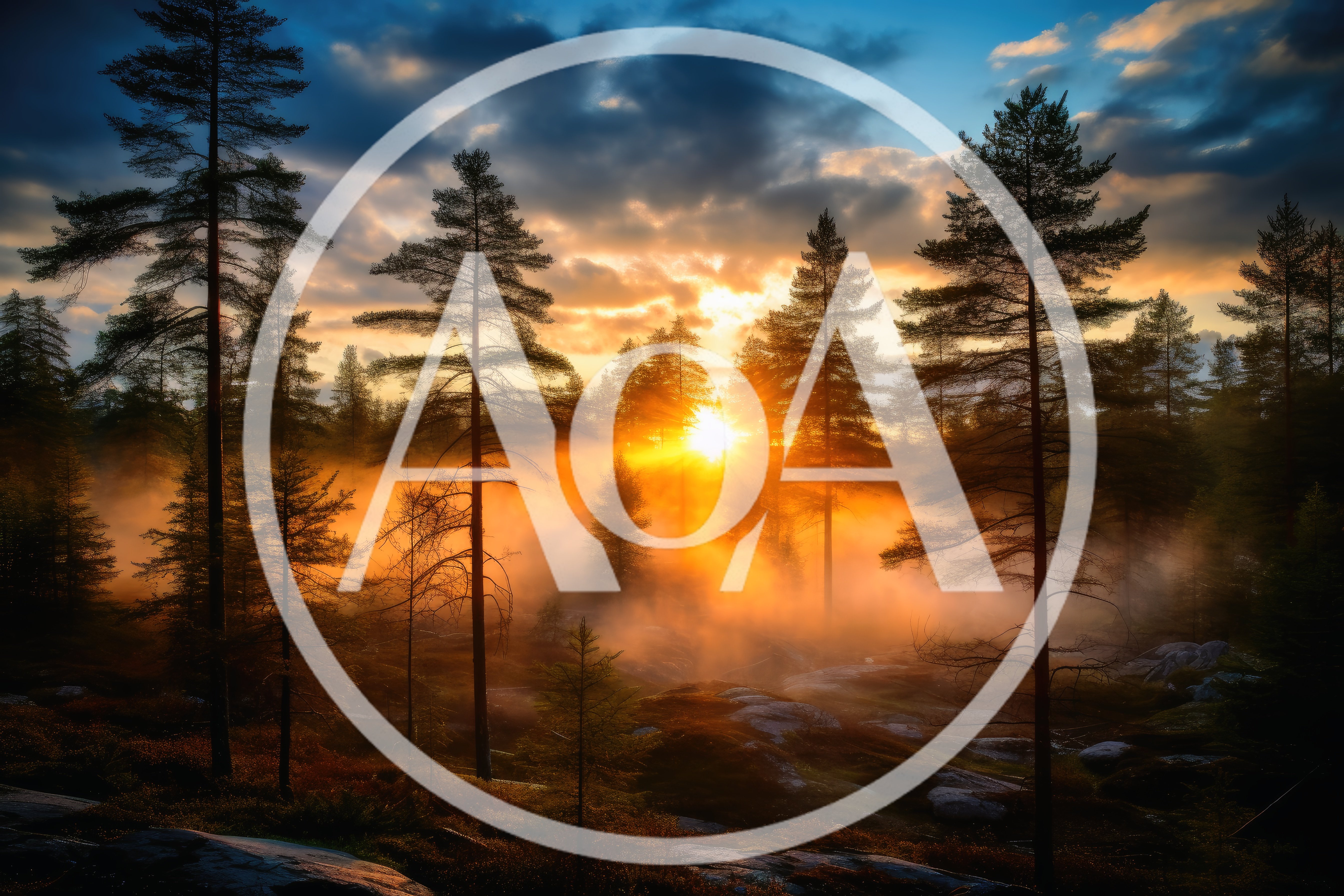 Golden Sunset Over A Misty Pine Forest