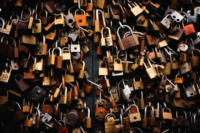 Collection Of Padlocks Attached To A Metal Gate
