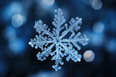 Macro Close Up Of A Single Intricate Snowflake