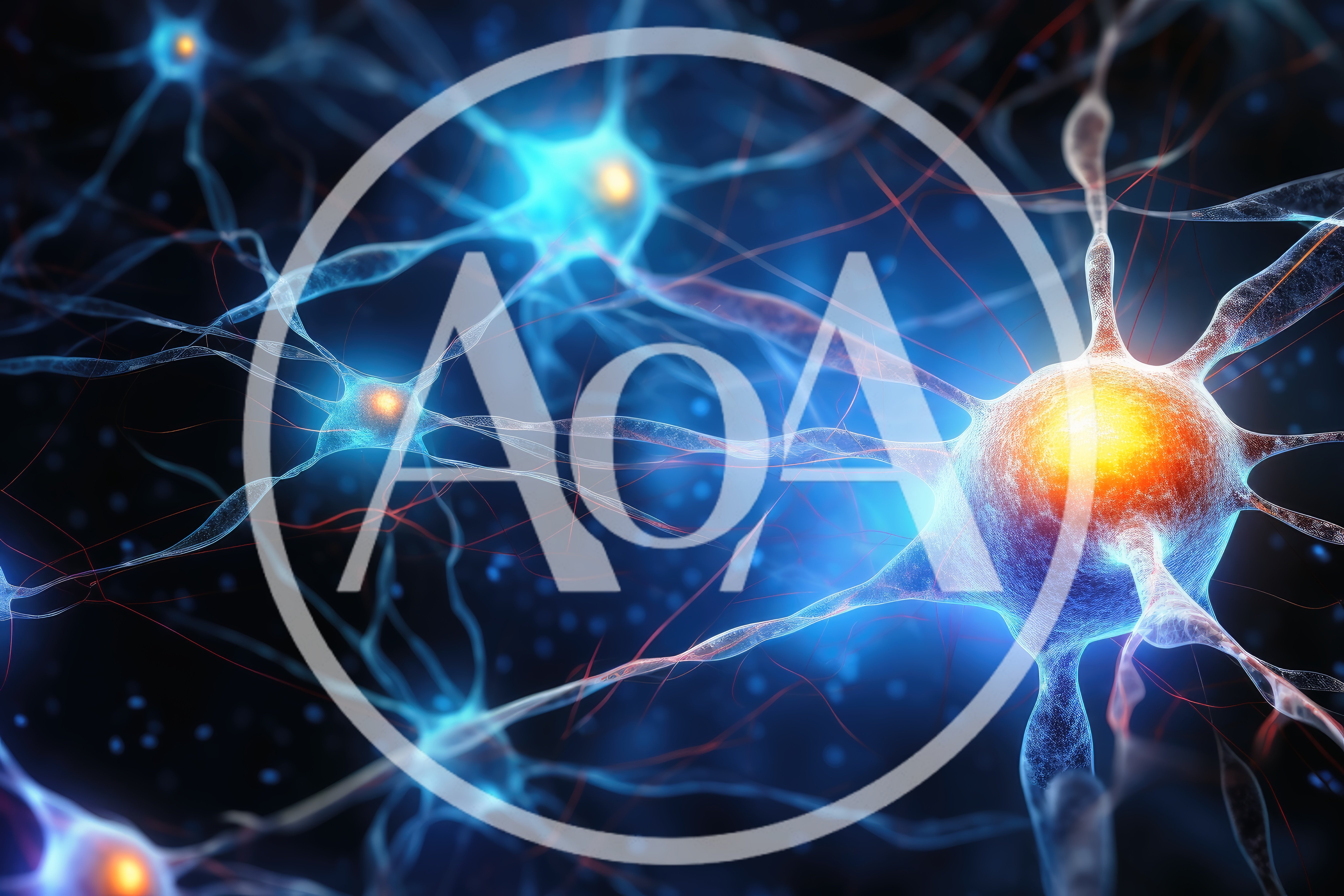 Neural Network Synaptic Connections In Human Brain