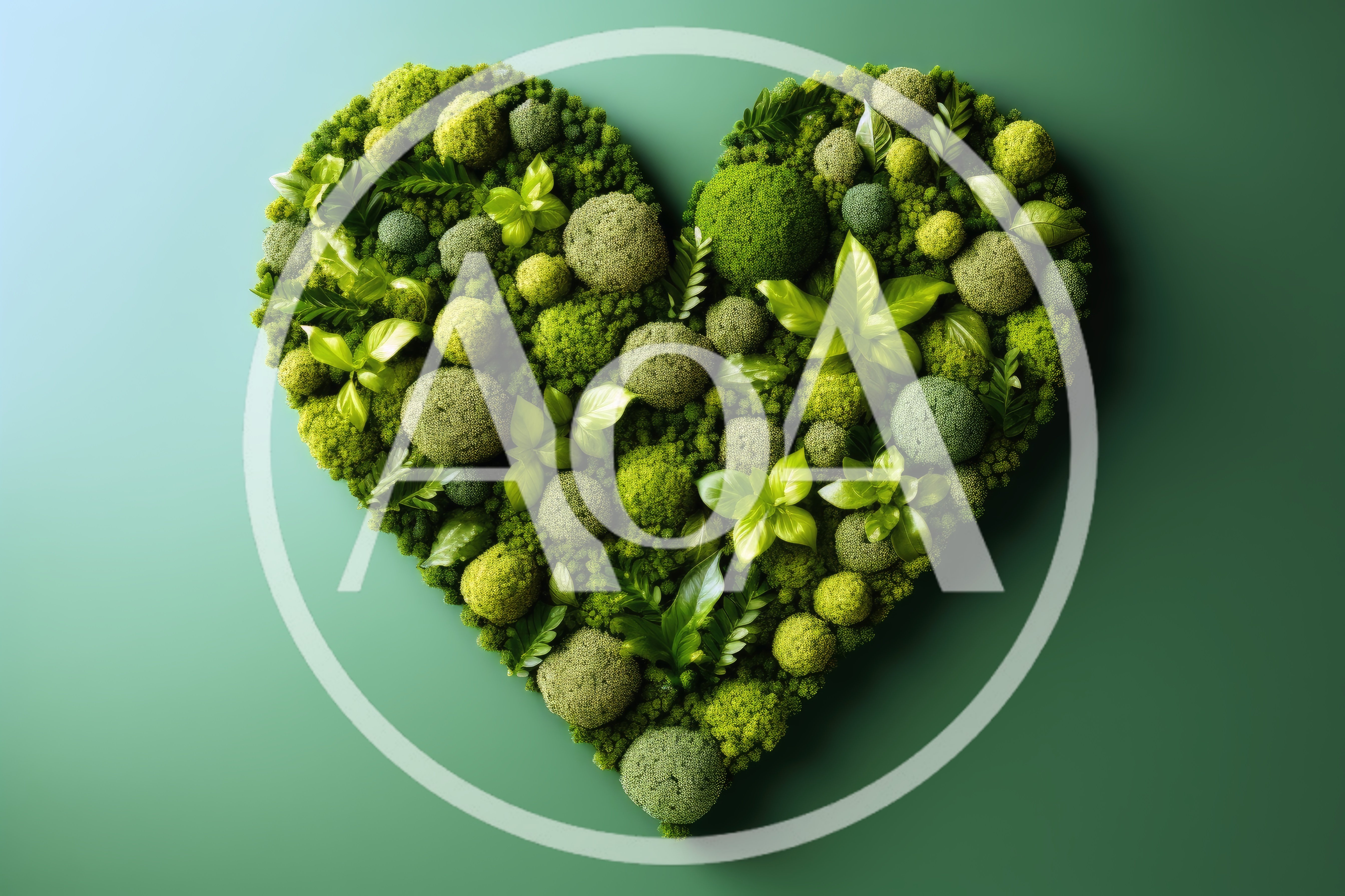 Heart Shaped Wall Art Made Of Fresh Green Plants