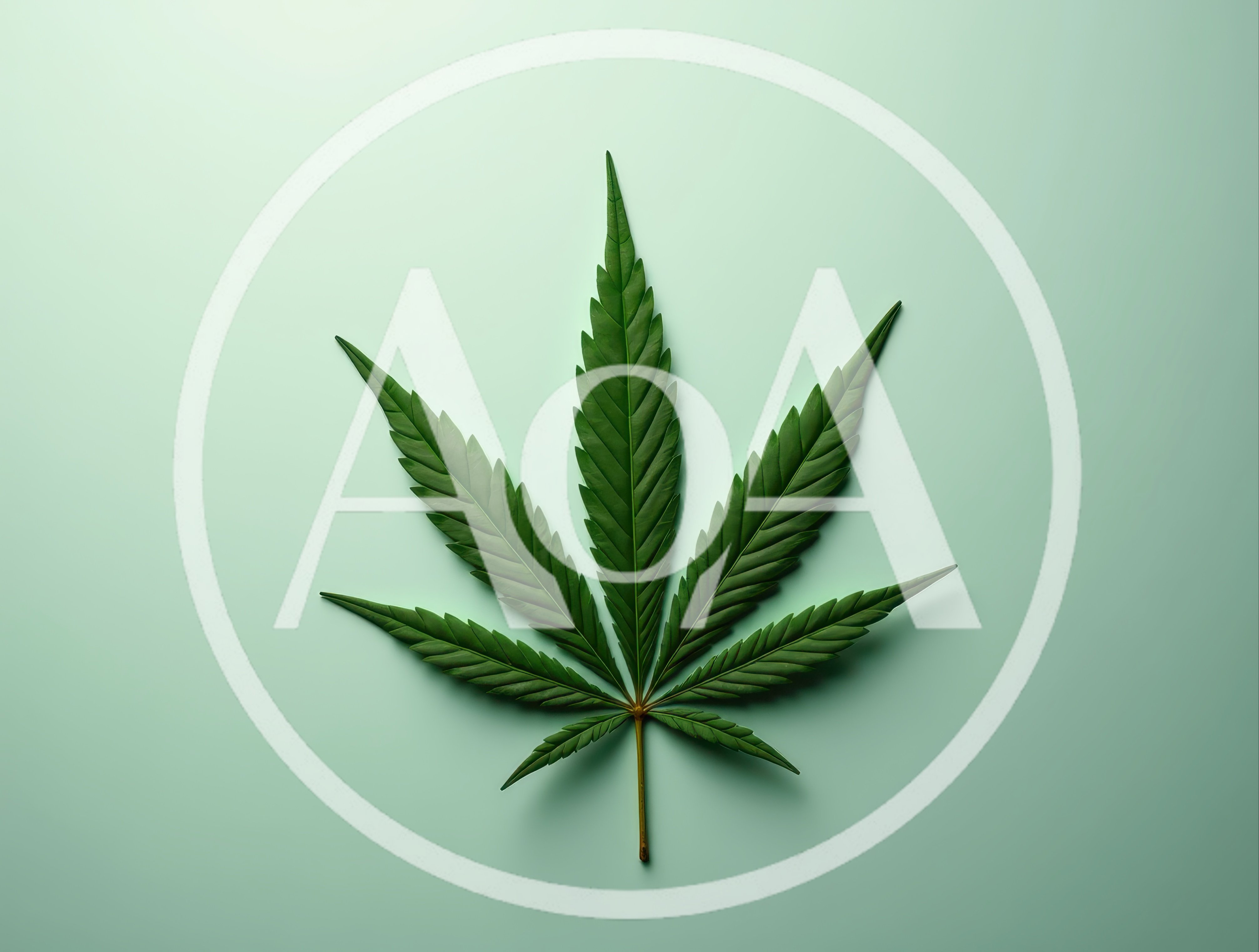 Single Green Cannabis Leaf On Pastel Background
